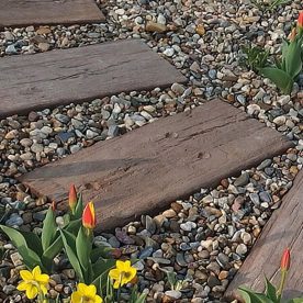 Semmelrock Talpfa elem