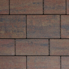 Leier Patria térkő gesztenye 7 cm